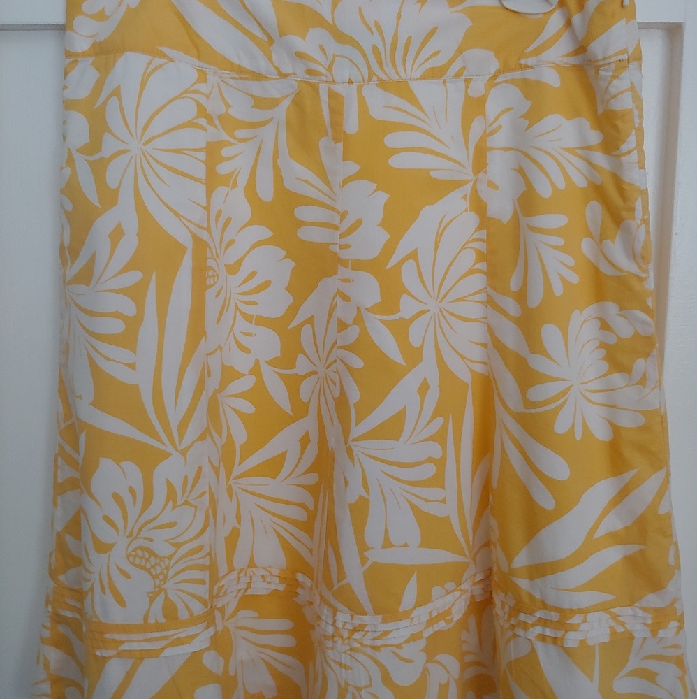 Ann Taylor skirt